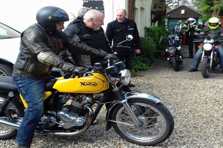 Norton
